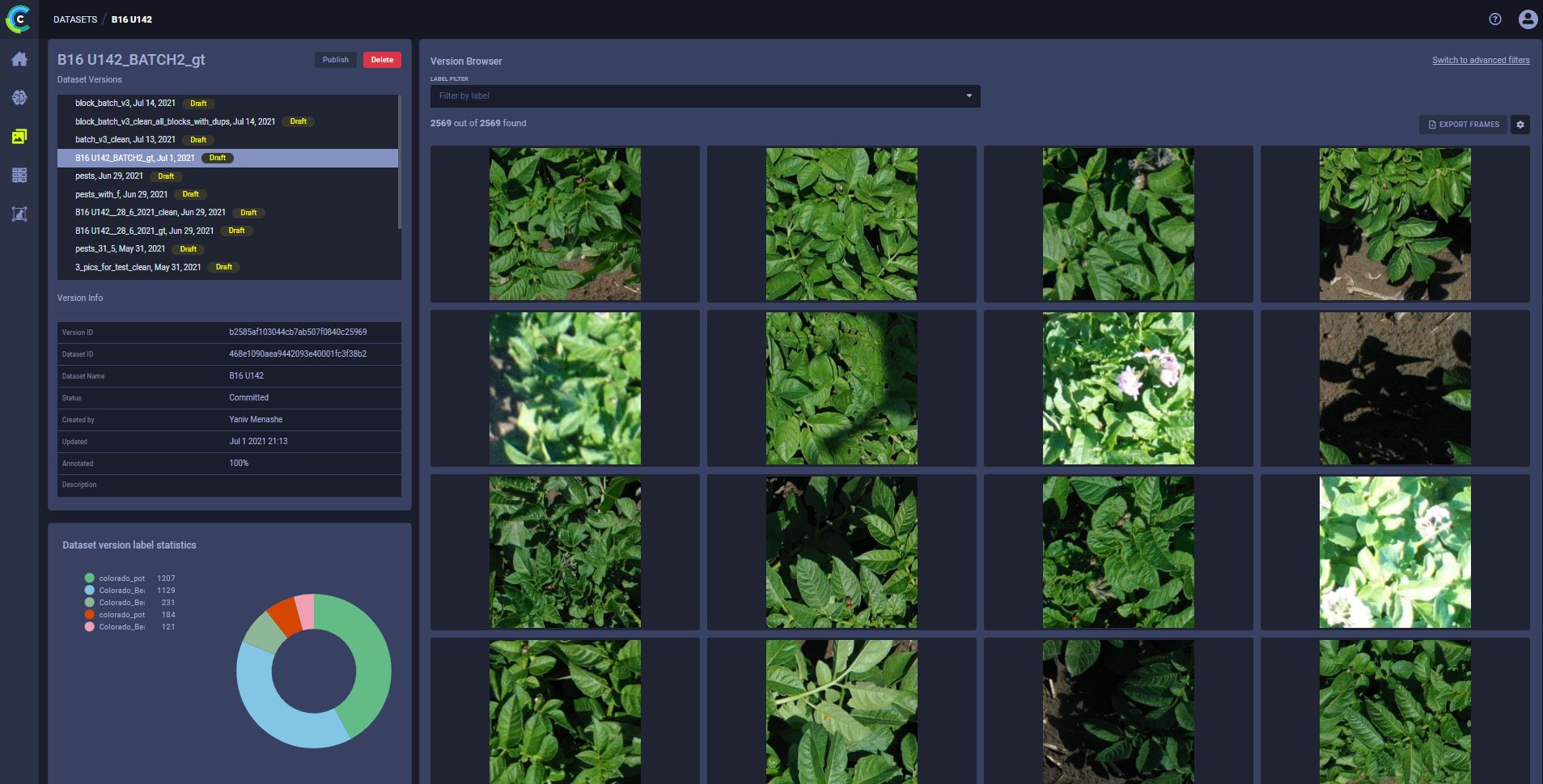 Managing sub-images