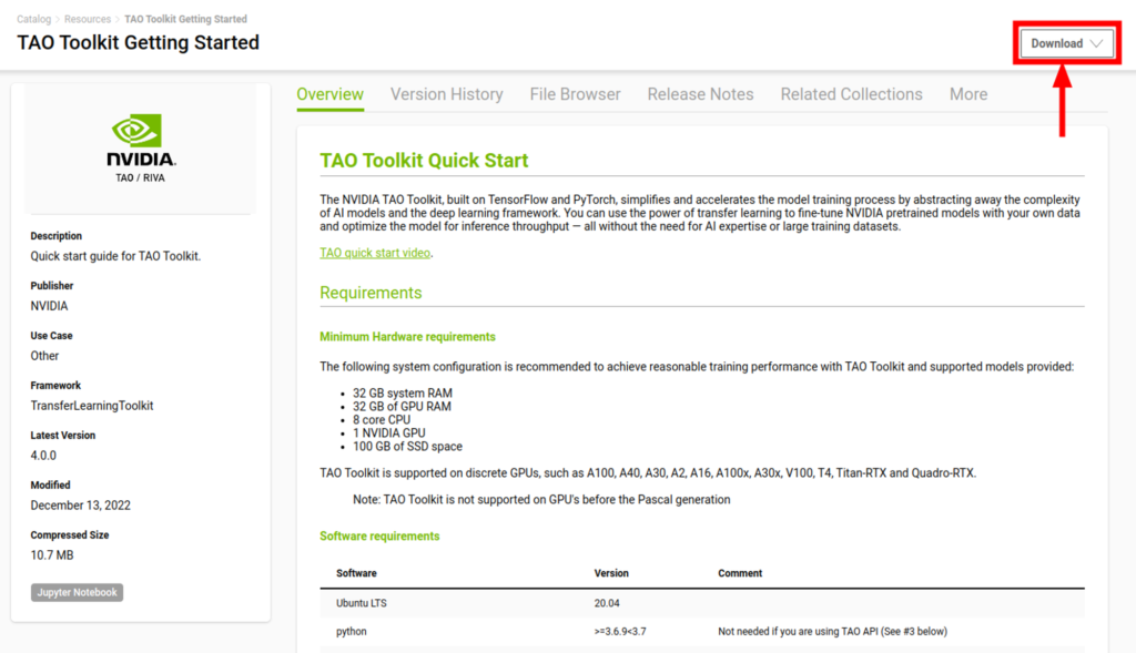 Install Tao Nvidia Toolkit