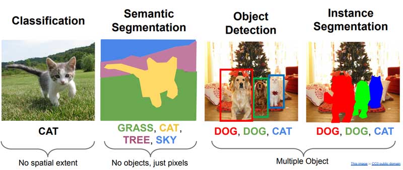 Segmentation graphic